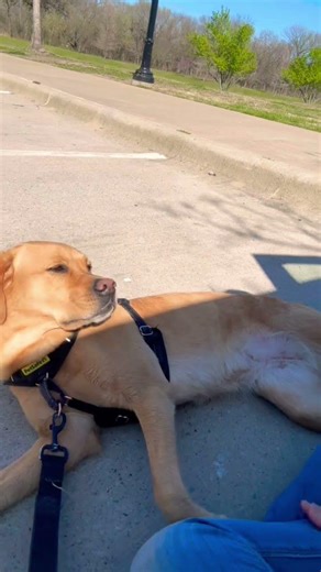 Adalia Had BIG Feelings About Leaving the Park | Part 1 😭🐾