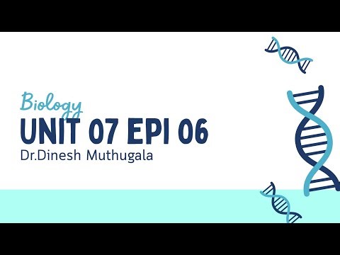 Unit 07 epi 06