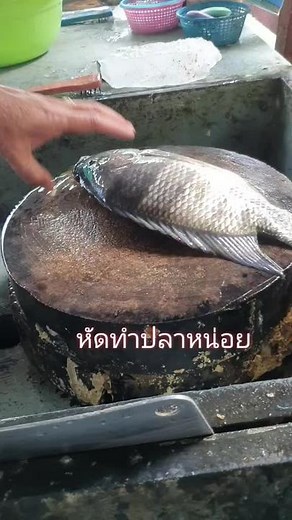 How to Prepare Fish for Cooking: Step-by-Step Guide