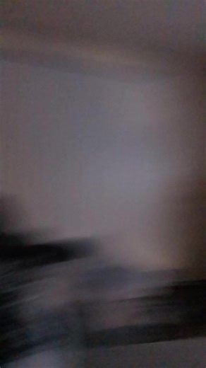 Ended my night watching Coco with Max 🥰 he said since it was Día de los Muertos we should put it on 🧡🕊 | Sasha Duarte