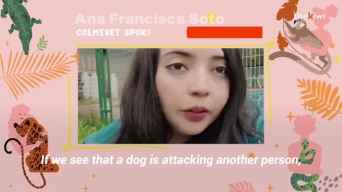 How to defend yourself from a dog attack