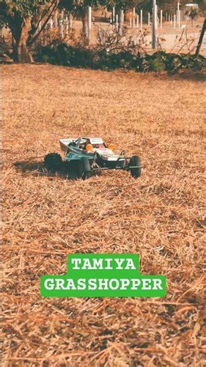 タミヤ グラスホッパー GRASSHOPPER #rccar #ラジコン