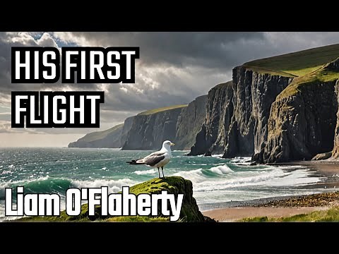 his first flight by liam o flaherty || his first flight by liam o' flaherty