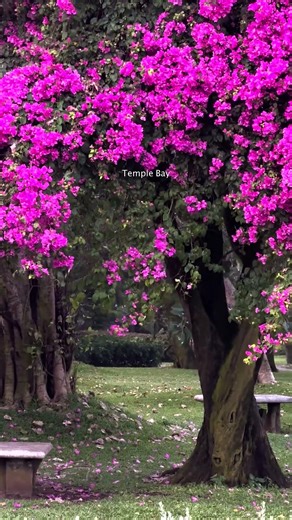 The sea view ✨ #travel #instagram #radissonhotels #luxurylifestyle