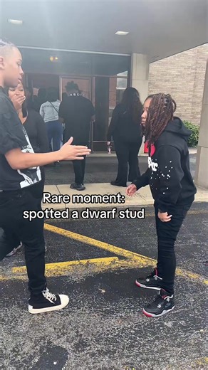 Understanding Dwarfs: Insights and Observations