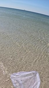 306K views · 4.6K reactions | Using a net to catch my dinner!! | Southern Salt Fishing | Facebook