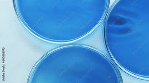 Petri dishes with blue liquid. Chemical experiments and education. Blue and white colonies. Ripples on the surface. Top view. Lab conditions on agar plates with bacterial food. Perfume. Cosmetics.