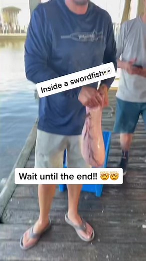 Wair until the end!! 🤯👽🤷‍♂️ What in the alien fish is thaf?!?! @trollnaked has been on a roll wiyh one anazing catch after another! 🔥🔥 #fish #fishing #outdoors #ocean #nature #wild #swordfish #alien #monster #seamonster #mindblown #wtf #crazy #saltlife #animsl #aninals #mystery