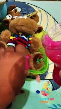 Unboxing Cute Bear & Paw Containers Candy, Toys & Surprise! ARMS