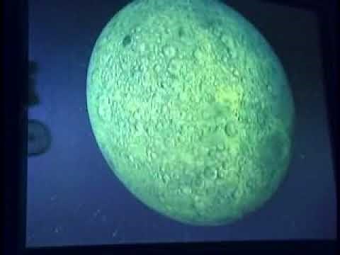 E.T. Ride at Universal Studios - 2003