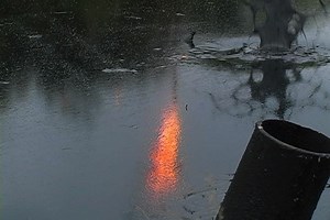 Between Midnight & the Rooster's Crow