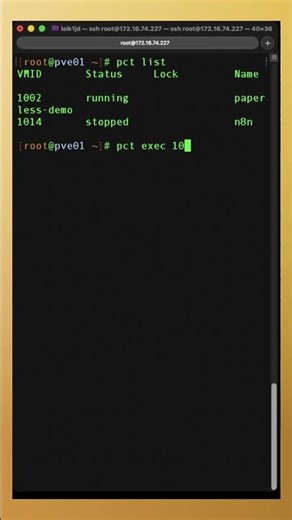 Execute commands on a container easily