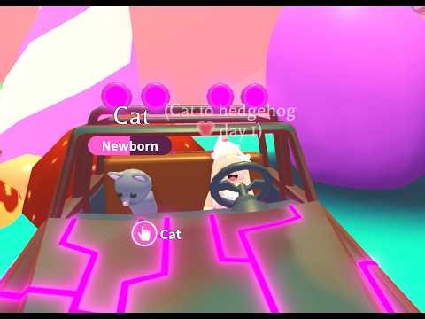 | Episode 1 | TRADING CAT TO HEDGEHOG!! Adopt Me! Roblox Video