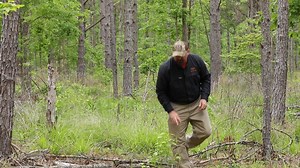 You can get food for deer in many ways, but high quality food can be hard to come by. That's where the Tecomate Wildlife System comes into play! | Bucks Of Tecomate