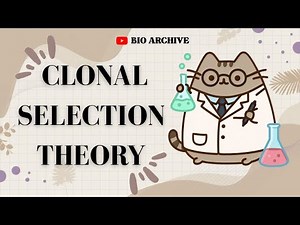 Clonal Selection Theory | DSC-13 - Principles of Immunology | BSc (Hons.) Zoology Semester 5 | NEP