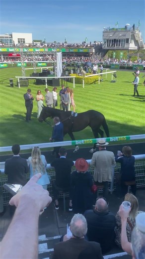 Jonbon 🔥 too bad he didn’t race #horse #horseracing #sandown #jonbon