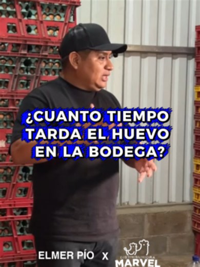 ¿Cuánto tiempo puede permanecer un huevo en bodega? Un almacenamiento adecuado y una correcta rotación son clave para conservar la frescura, calidad y vida útil antes de llegar al consumidor. ¡Sígueme para más Pio Consejos!
