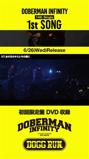 TikTok · DOBERMAN INFINITY