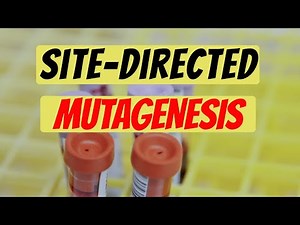 Site-Directed Mutagenesis| Explained| Genetic Engineering