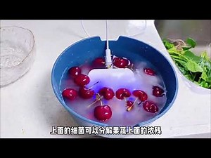 Portable Ozonizer Vegetable Fruit Washing Machine Ozone Generator Air Purifier