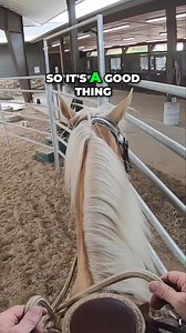 In this video, Ed demonstrates effective training techniques that promote comfort and strength in animals. Watch as he showcases the benefits of specific exercises while fostering positive responses through praise and encouragement. #AnimalTraining #PetComfort #TrainingTechniques #AnimalCare #PositiveReinforcement #StrengthBuilding #PetWellness #DogTraining #AnimalBehavior #TrainingExcellence | Ed's Walking Horses | Facebook