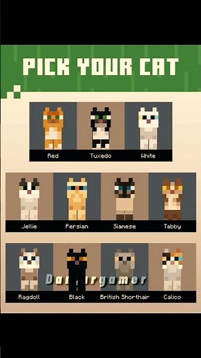 Minecraft Cats: The Ultimate Pet Guide
