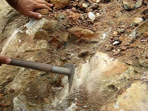 Metal Detecting with the Minelab and DetectorPro Pistol Pinpoint Probe