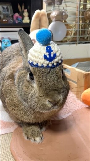 Marine hat❣️🐰🐇🏖️🛥️⚓️😀