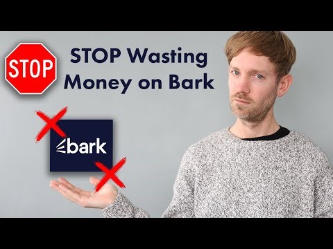 Is Bark Worth It for Videographers & Photographers? (Honest Review)