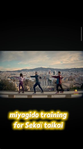 miyagi-do training for Sekaï taikai#cobrakai#miyagidokarate#funk#humancreator#viralvideo#samlarusso