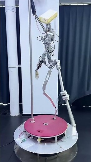 Inside the Future of Silicone Dolls: AI Robotics in Action