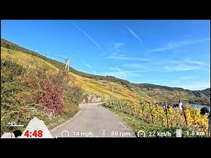 20 minute Indoor Cycling Workout Autumn 🚴‍♀️🍂🍁🌞 Mosel Germany Garmin 4K Video