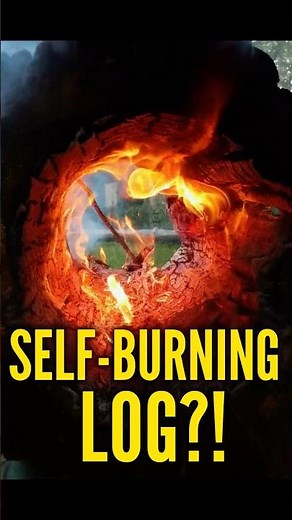 Self-Burning Log #fire #sciencefacts #facts