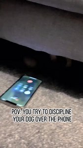 822K views · 48K reactions | Gotta love Druids. #dungeonsanddragons5e #funnyreels #reactions #reaction #dnd5e #podcasting #dnd #react #dungeonsanddragons #funny #podcast #podcasts | The LARP Channel | Facebook