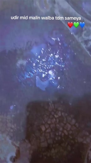 فيديوهات أنشأها Xaar (@xaar423) باستخدام original sound - Xaar