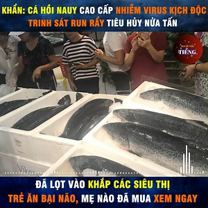 2.8M views · 16K reactions | Khẩn: cá hồi Nauy đắt xắt ra miếng chứa kịch độc, mẹ nào mua cho con phải vứt ngay. R. | Người Nổi Tiếng | Facebook