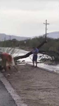 Monsoon storms bring dust, rain and rare weather alert across Arizona