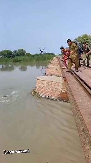 174K views · 455 reactions |  | Shorts Channel | Facebook