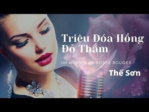 THẾ SƠN - Un million de roses rouges (Triệu đóa hồng đỏ thắm)