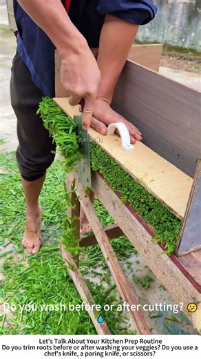 Trimming Vegetable Roots with a Chef's Knife – Neat, Fast, Satisfying 🥬
