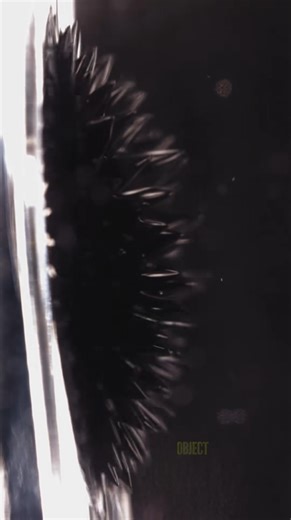 Ferrofluid magic: mesmerizing fluid dynamics in action