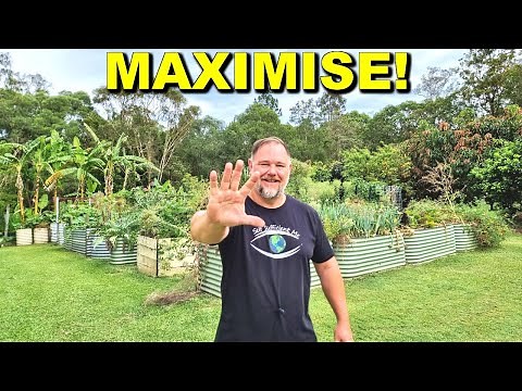 5 Tips How to Maximise Harvests In Your Vegetable Garden