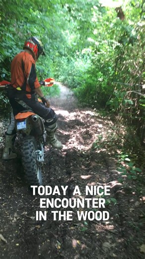 15K views · 217 reactions | Baby fox 力 | The Brave Biker | Facebook