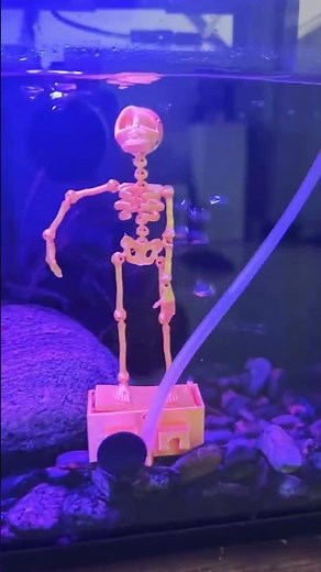 the viral aquarium skull aquascape—easily recreated via 3D printing