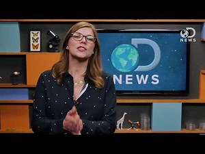 Why Sleeping Together Is Better