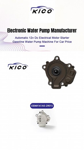12V DC Gasoline Water Pump Machine for Cars