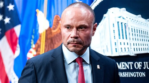 Dan Bongino tells Americans they are living in the safest version of America under Trump