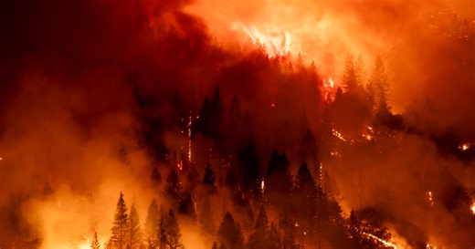 Park Fire now 5th largest ever in California