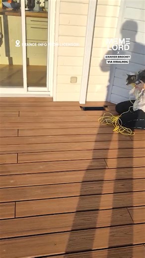 Cat’s taking the ‘current’ job seriously | Meme Lord