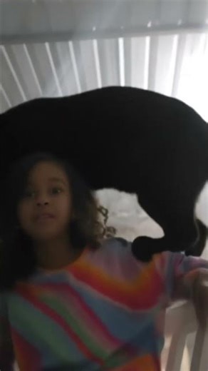 7 de febrero de 2026